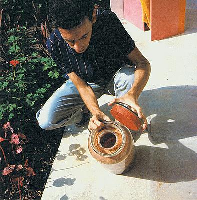 Obras de Projeto Helio Oiticica | Enciclopédia Itaú Cultural